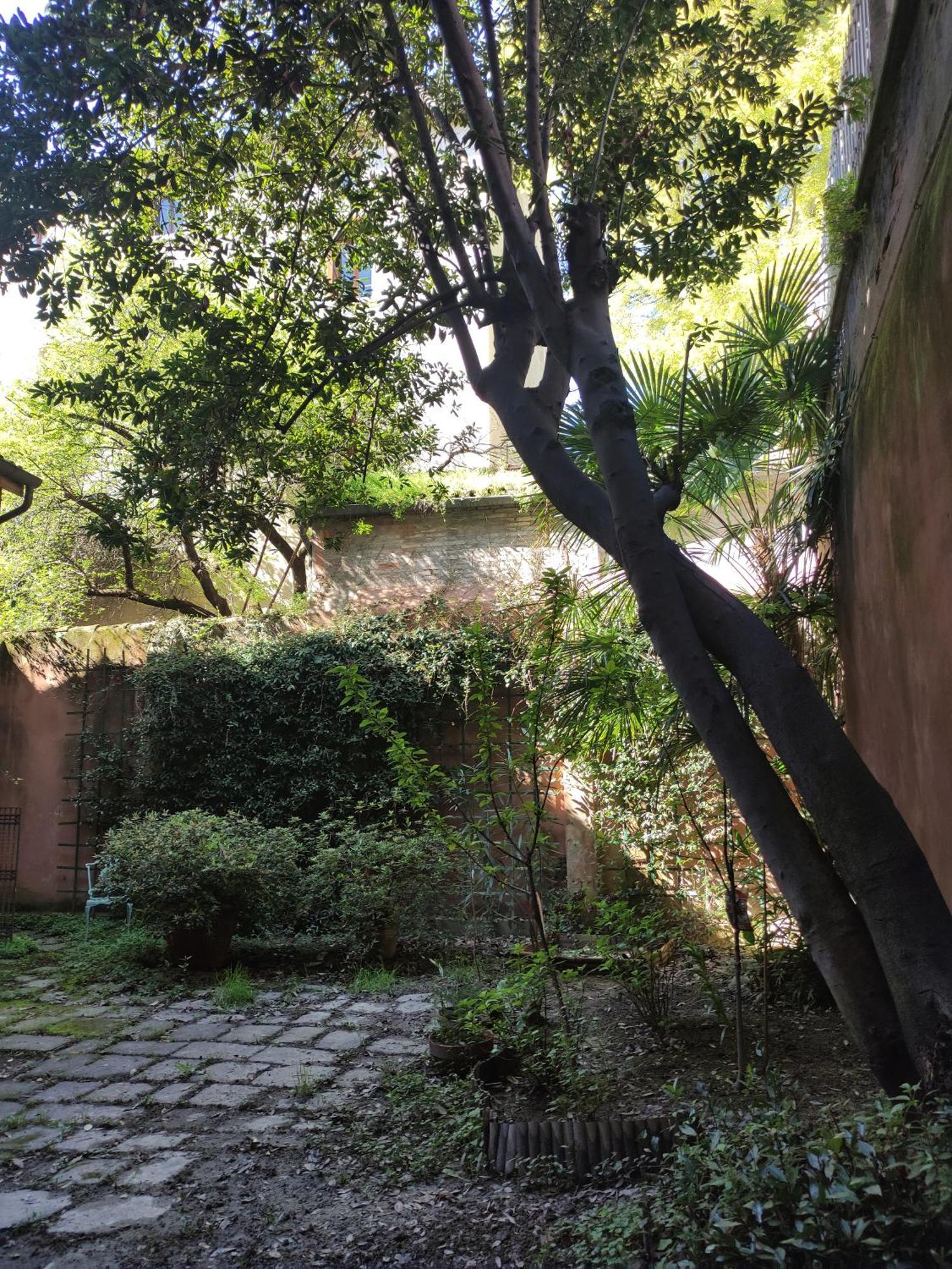 Loft Loggia Al Santo Apartment Padova Bagian luar foto